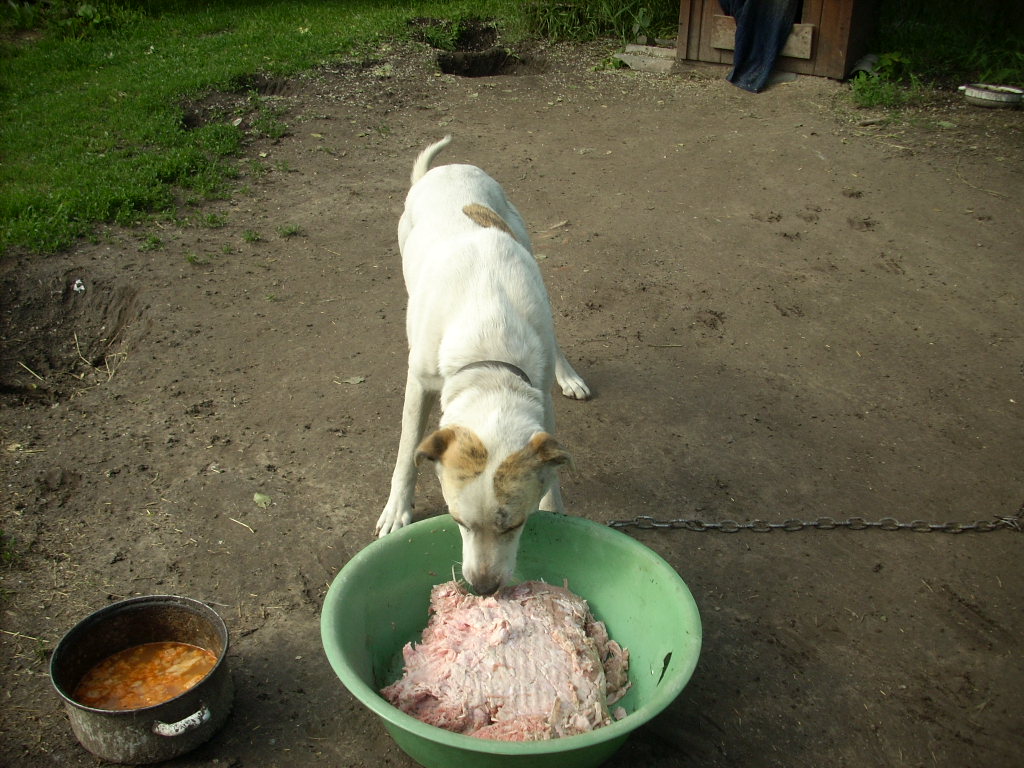 23-20140527pannika_szom13_0