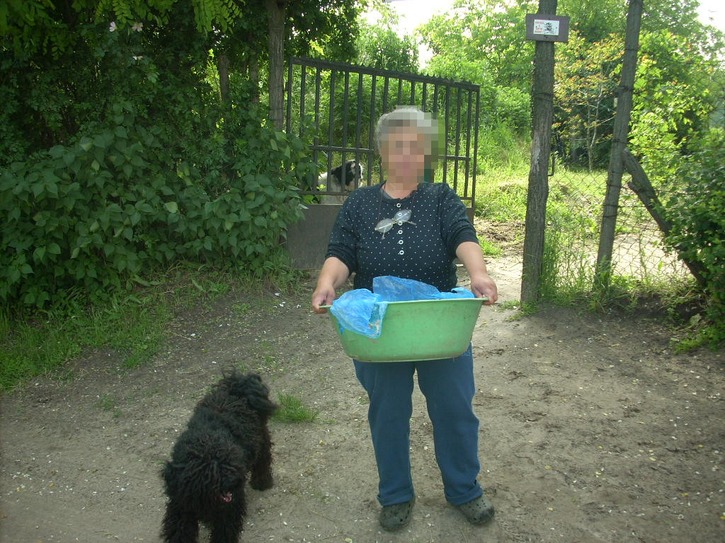 23-20140527pannika_szom2_0