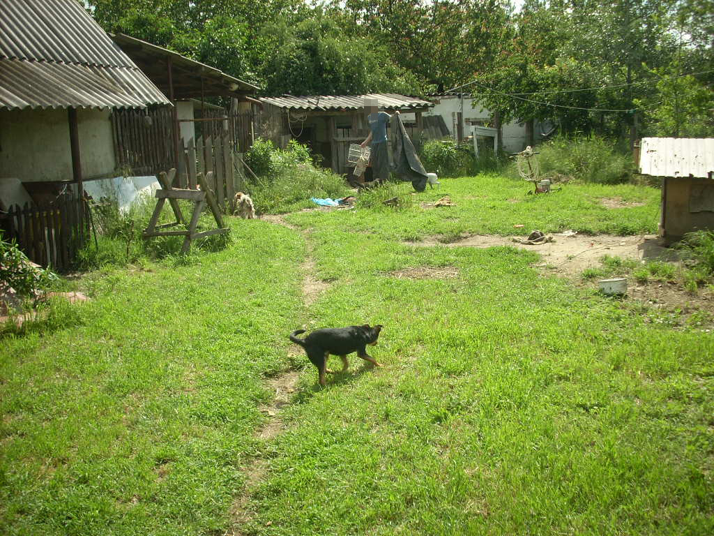 23-20140527sohordo24_0
