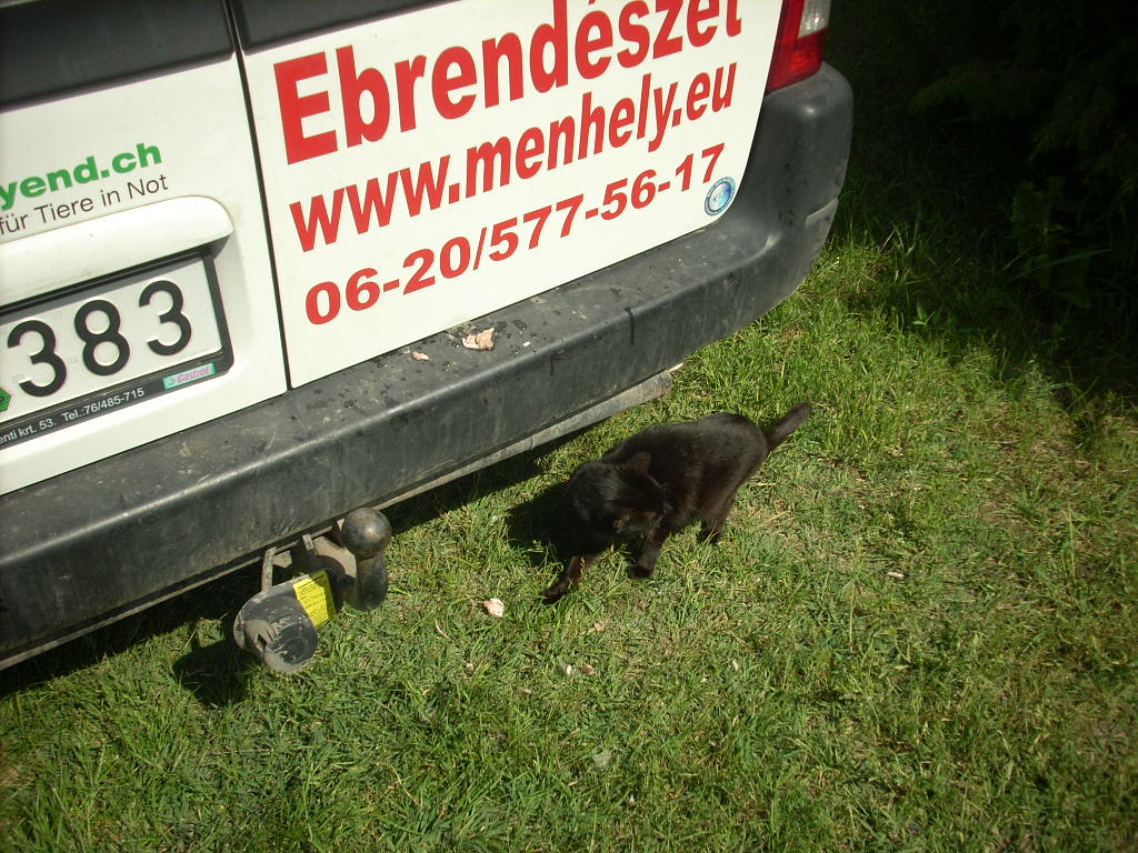 23-20140528szemlelet26_0