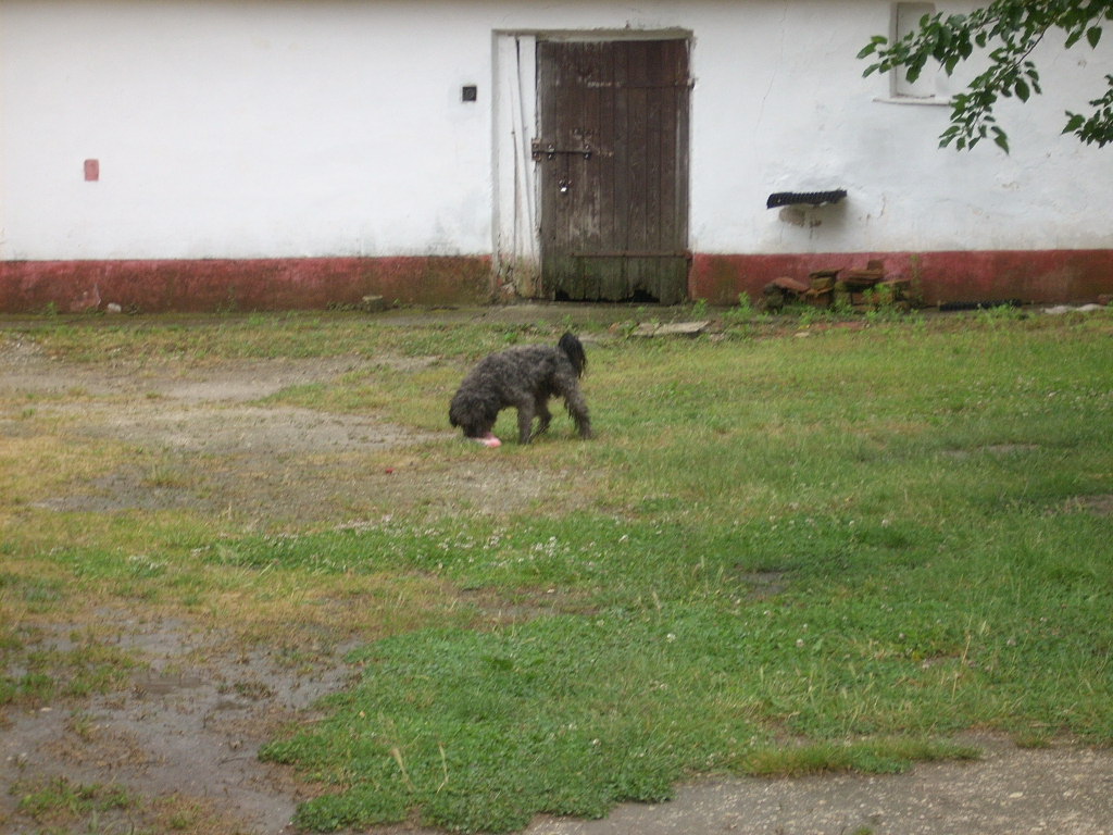 23-20140625torekves2_0