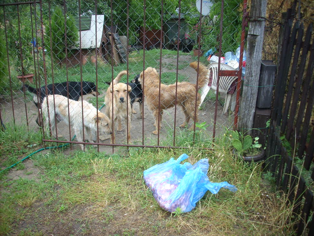 23-20140701almakoz1_0
