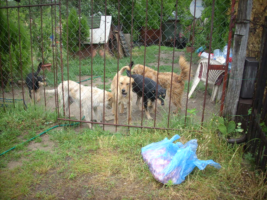 23-20140701almakoz2_0
