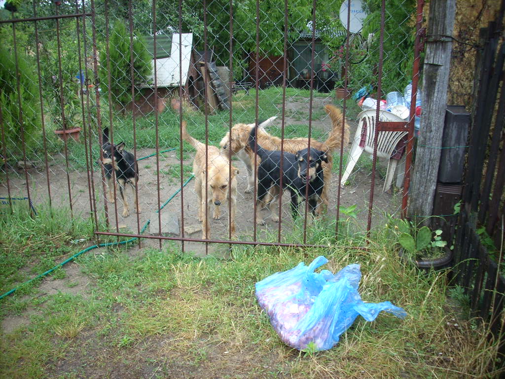 23-20140701almakoz3_0
