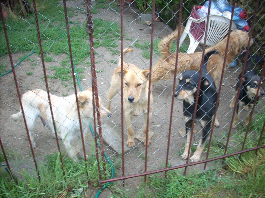 23-20140701almakoz5_0
