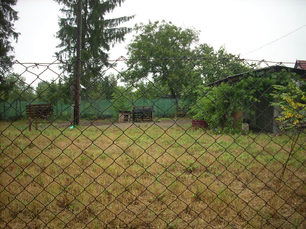 23-20140701helyszib0_0