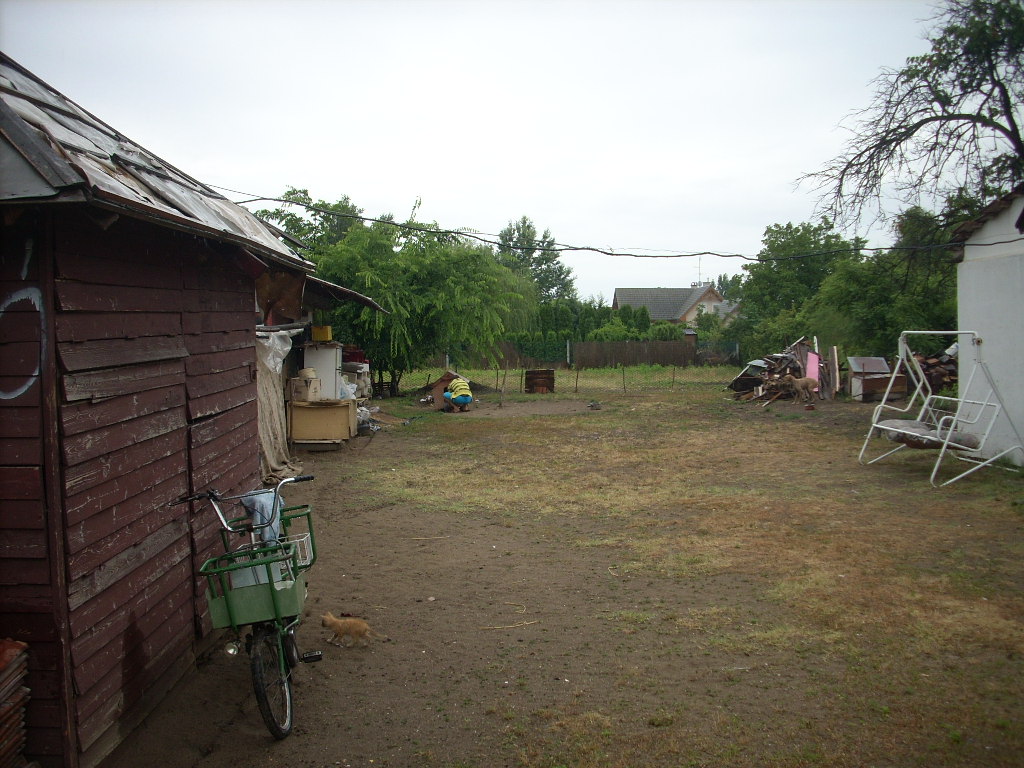 23-20140701heteny3_0