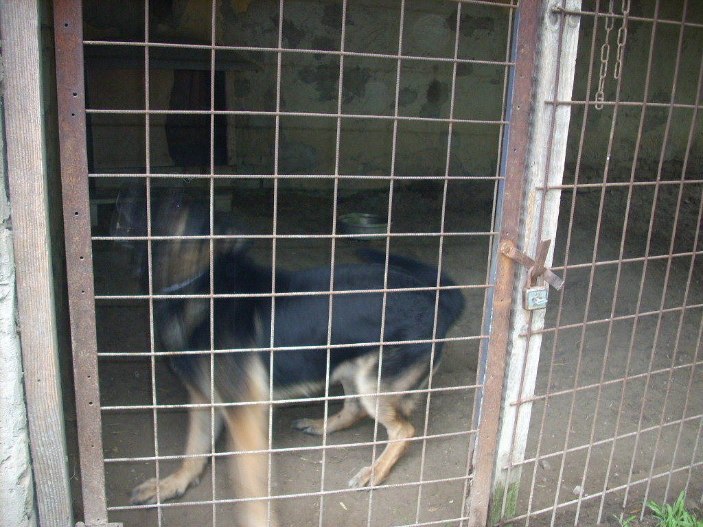 23-20140701ilonka0_0