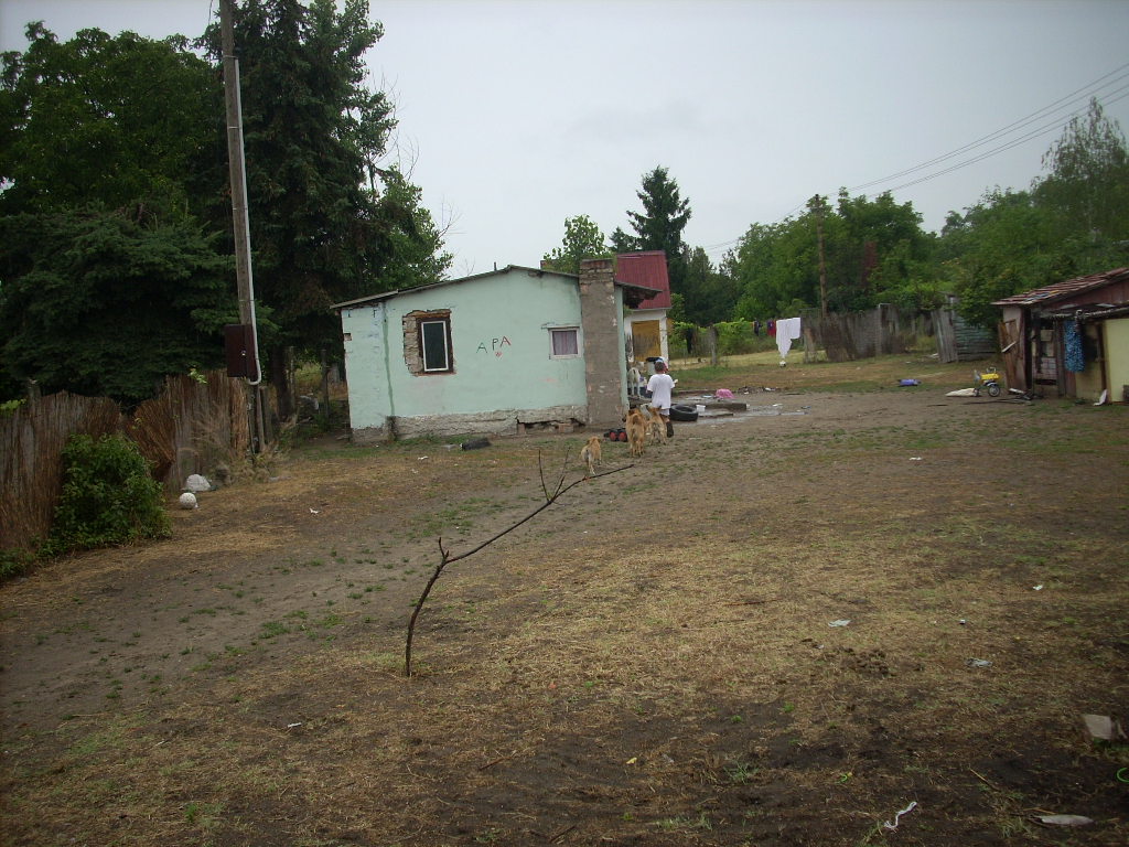23-20140701molnarne10_0