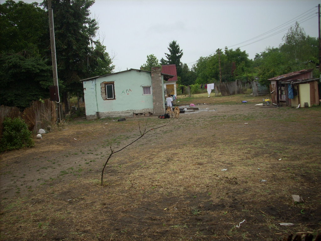 23-20140701molnarne11_0