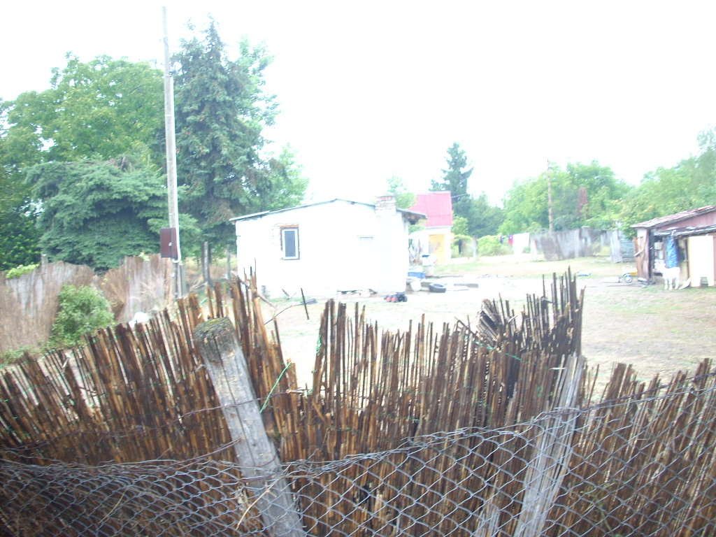 23-20140701molnarne2_0