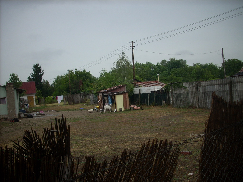 23-20140701molnarne3_0