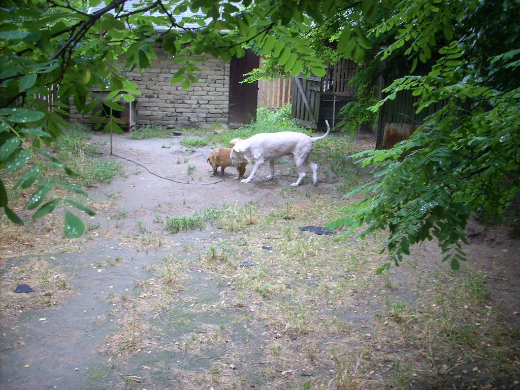 23-20140701oannika10_0