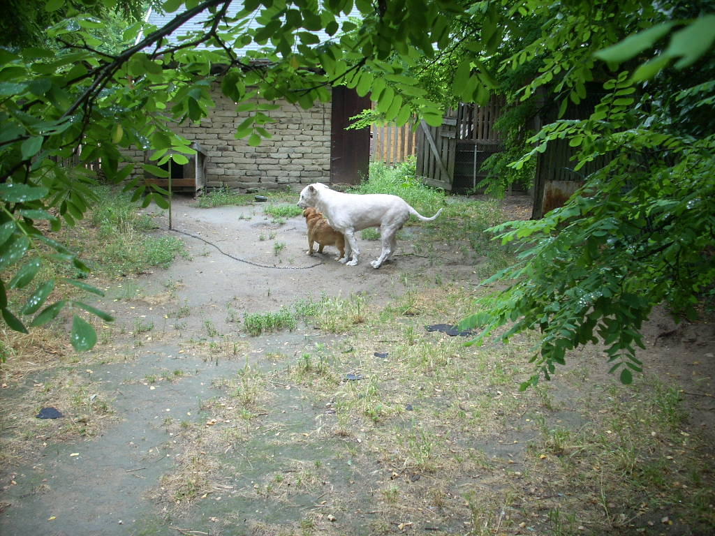 23-20140701oannika11_0