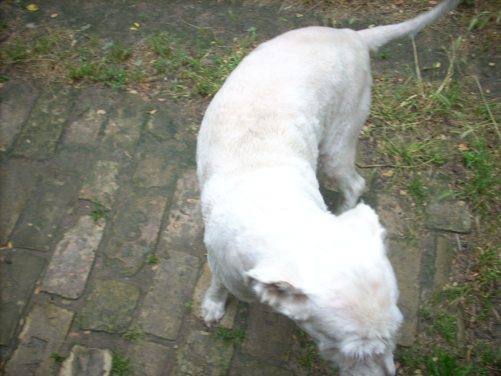 23-20140701oannika13_0