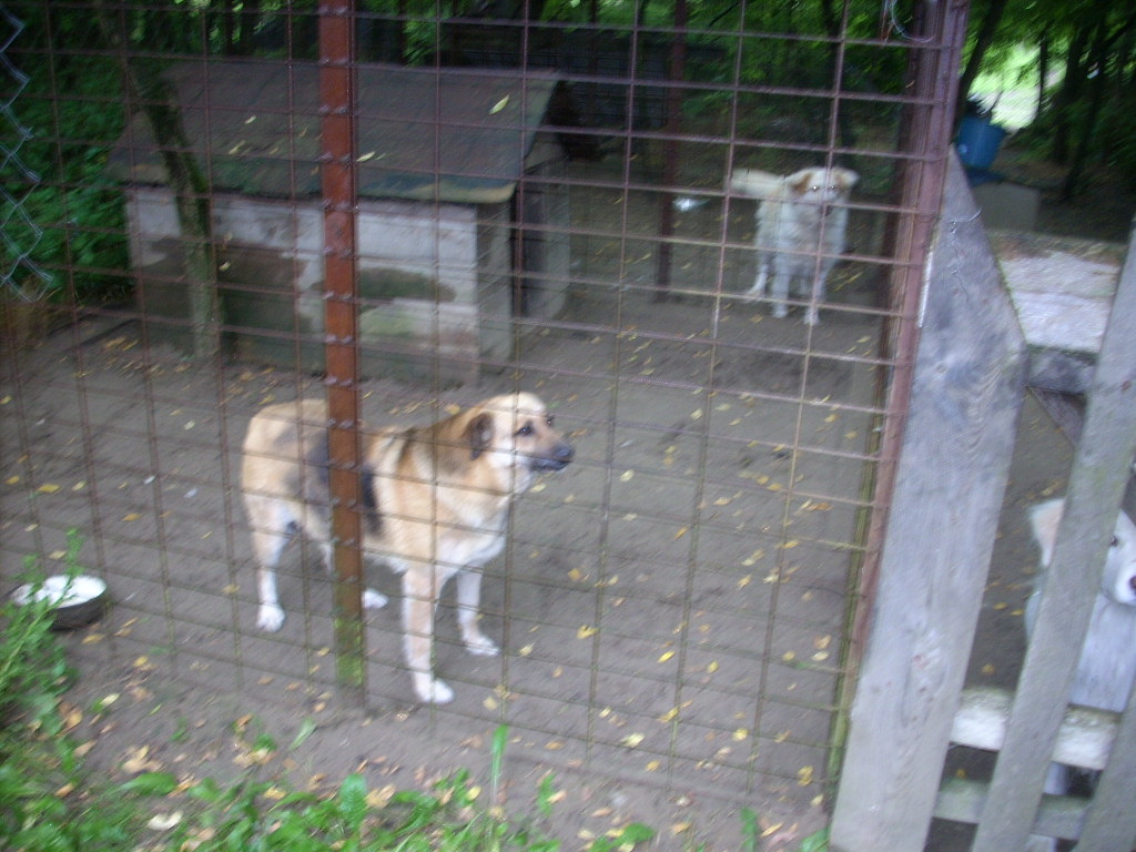 23-20140701oannika15_0