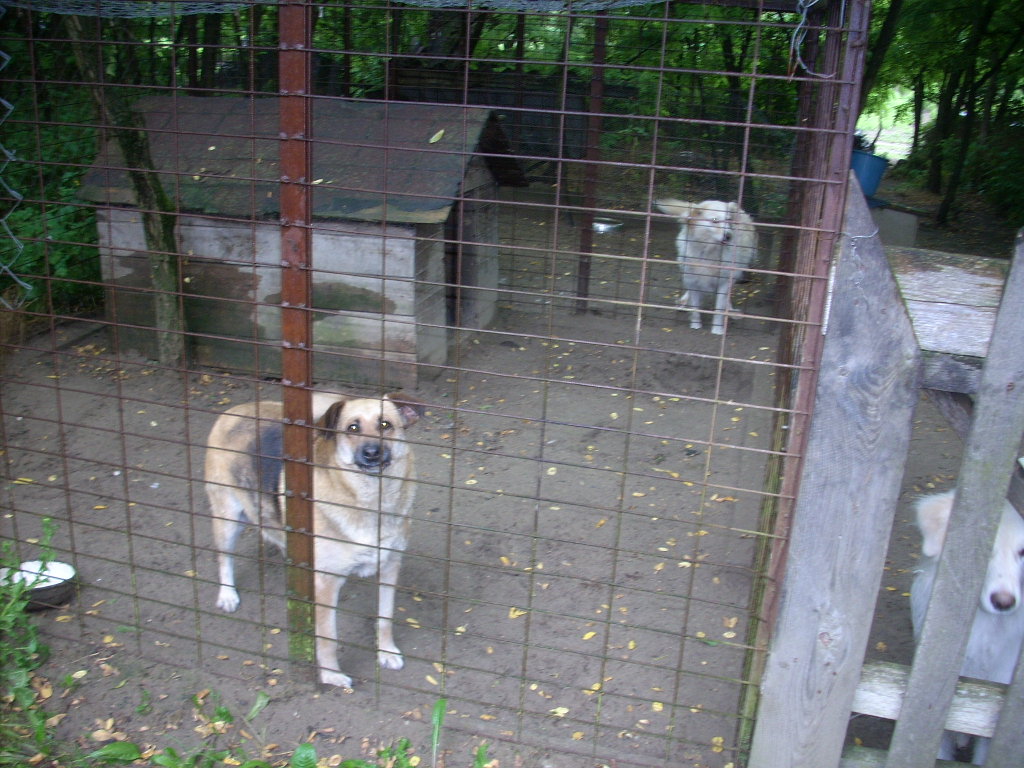 23-20140701oannika16_0