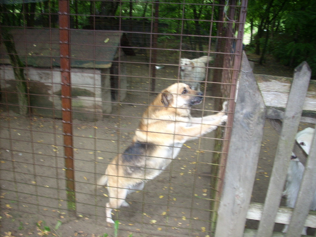23-20140701oannika17_0