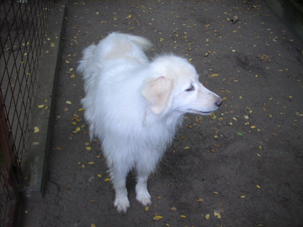 23-20140701oannika19_0
