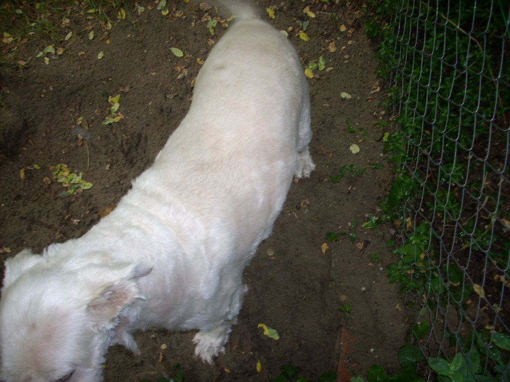 23-20140701oannika3_0
