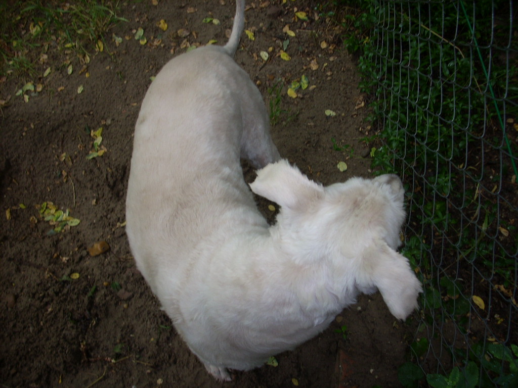 23-20140701oannika5_0