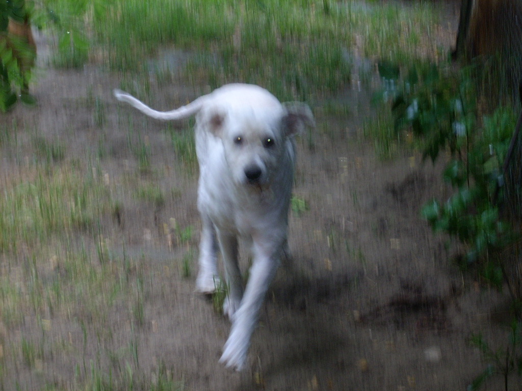 23-20140701oannika8_0