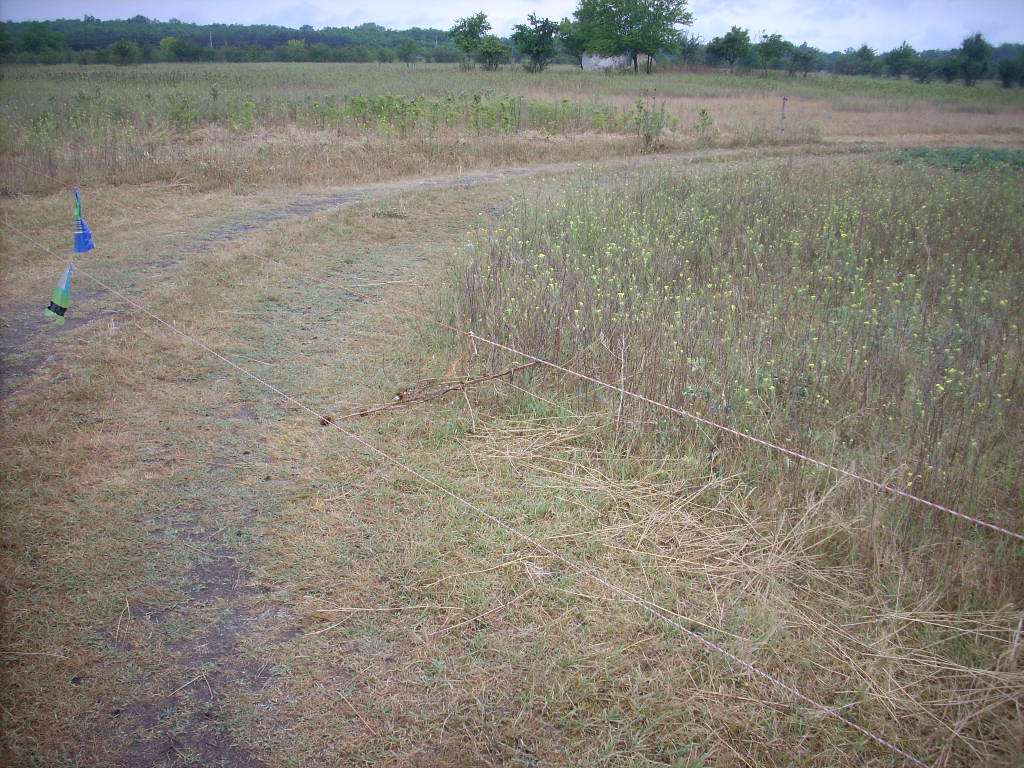 23-20140701szabados0_0