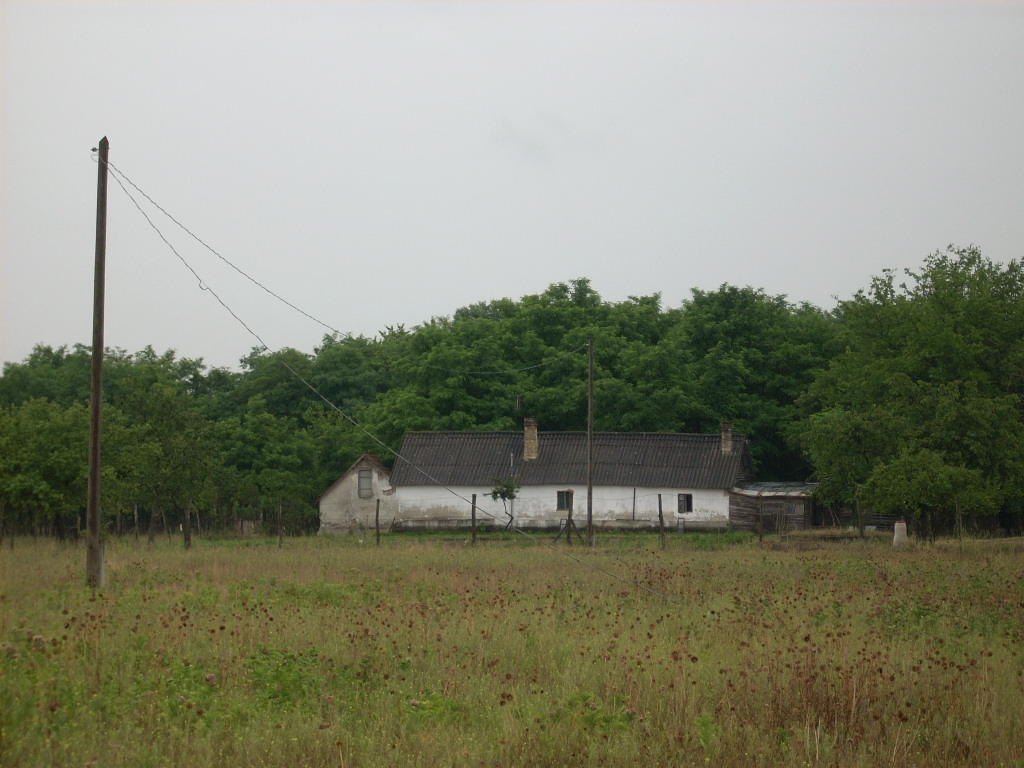 23-20140701szabados13_0