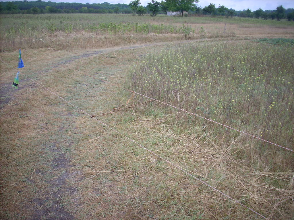 23-20140701szabados1_0