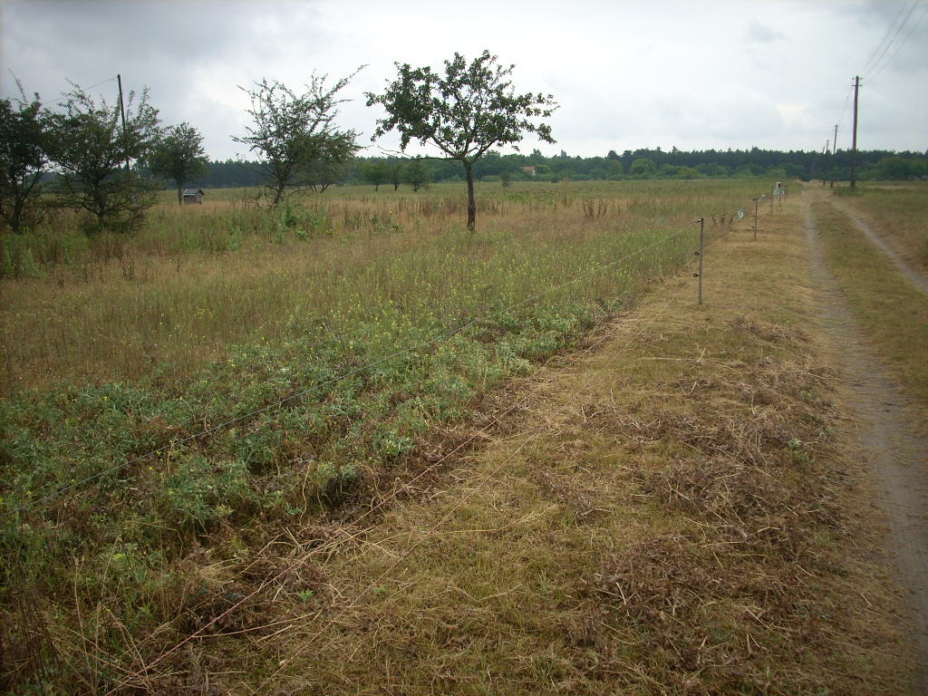 23-20140701szabados2_0