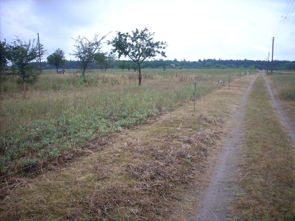 23-20140701szabados8_0