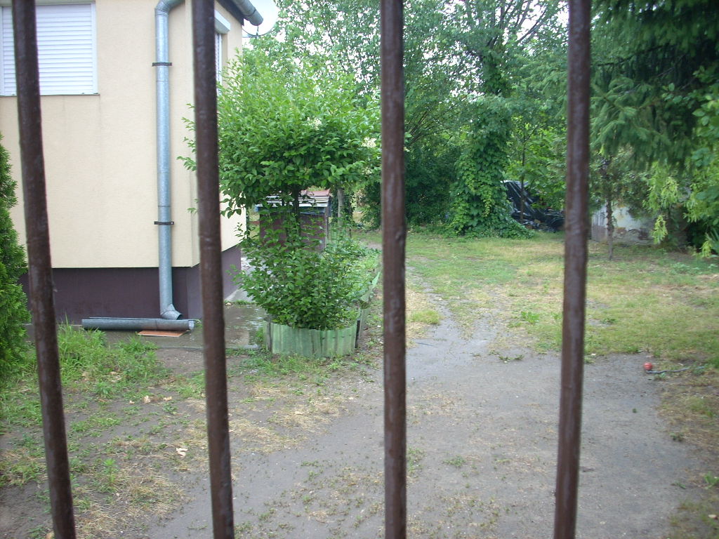 23-20140701szabolcs4_0