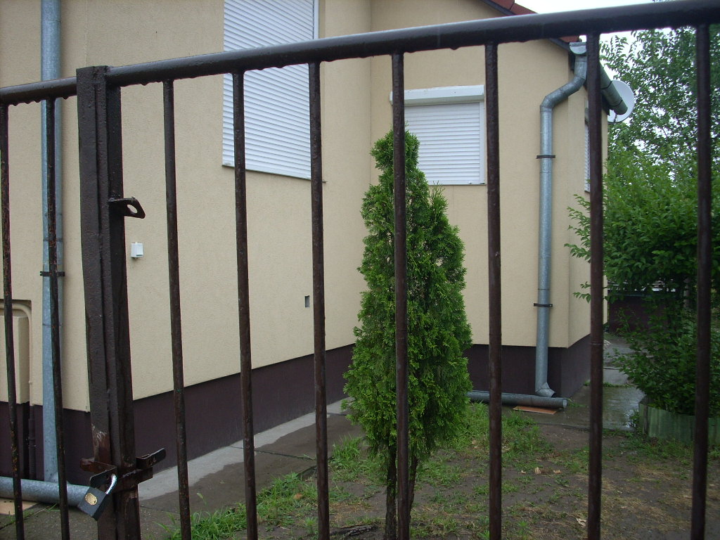 23-20140701szabolcs5_0