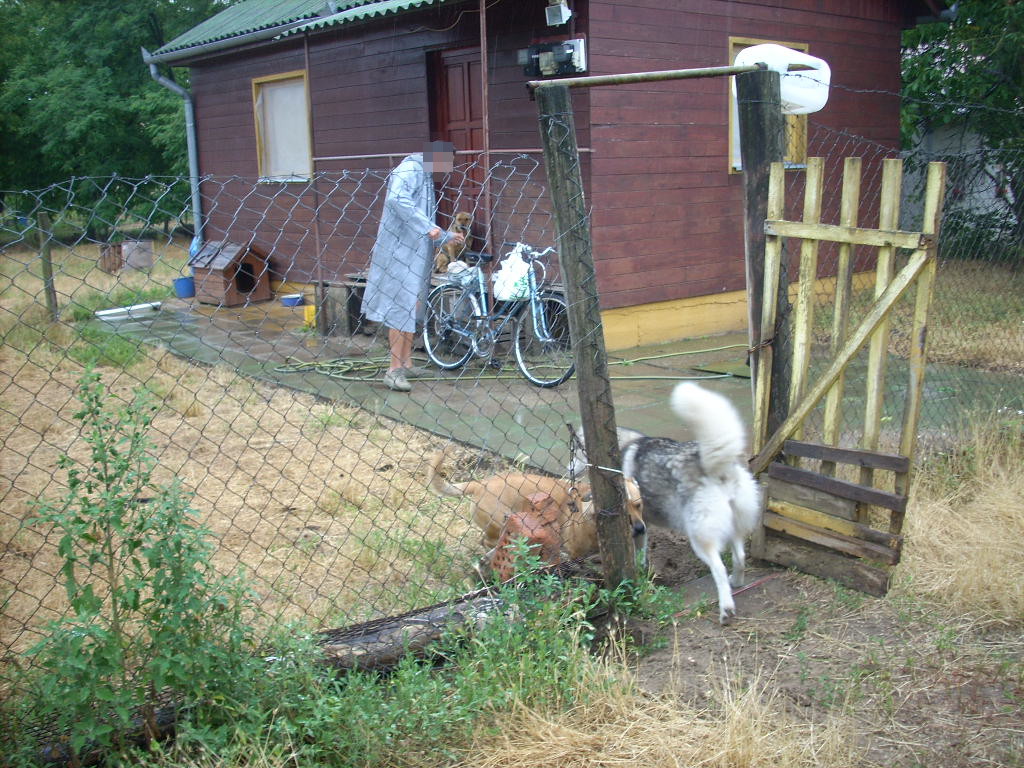 23-20140701szurov1_0