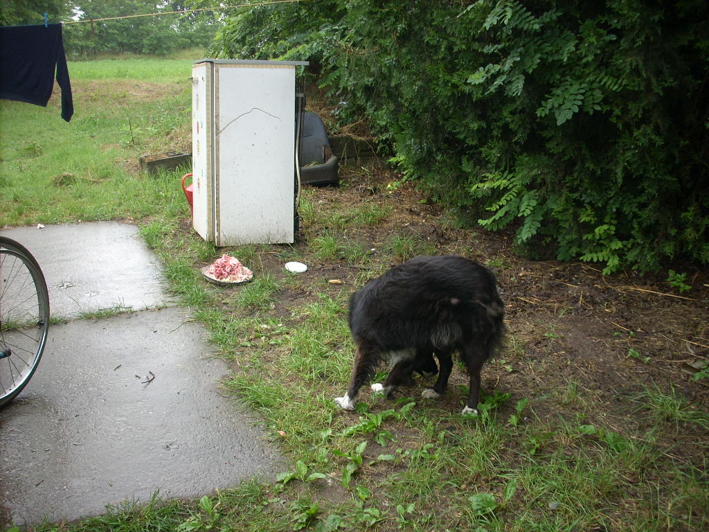23-20140701tolokocsis3_0