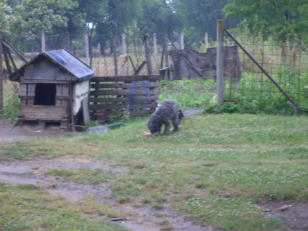 23-20140701torekves0_0