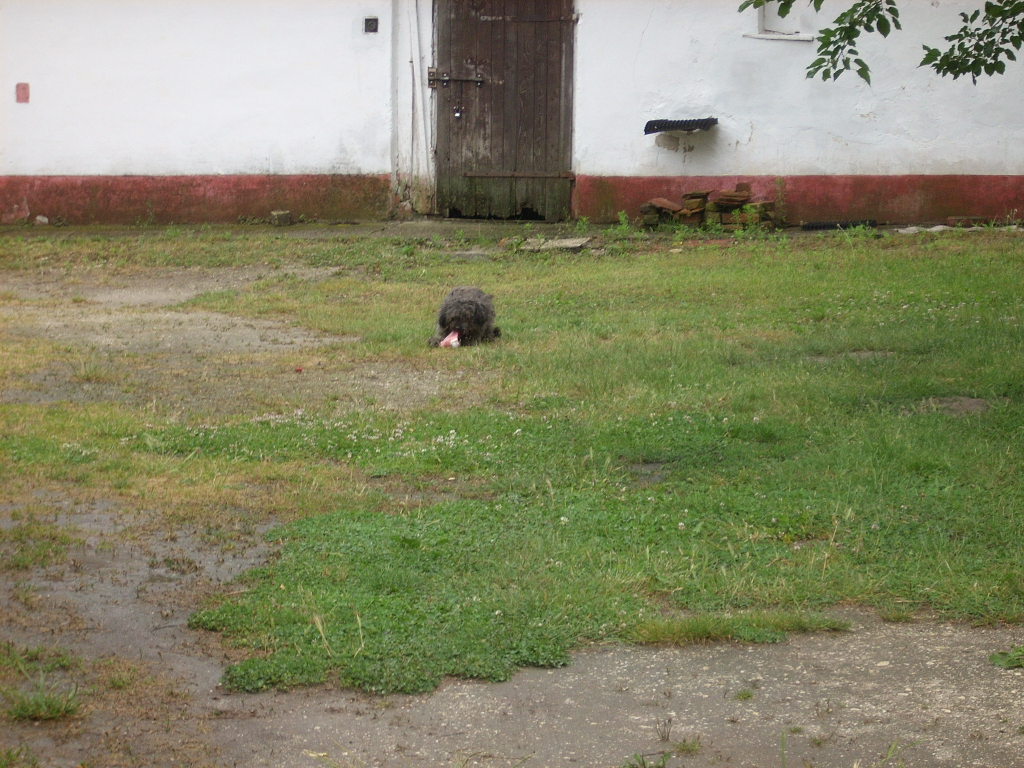 23-20140701torekves3_0