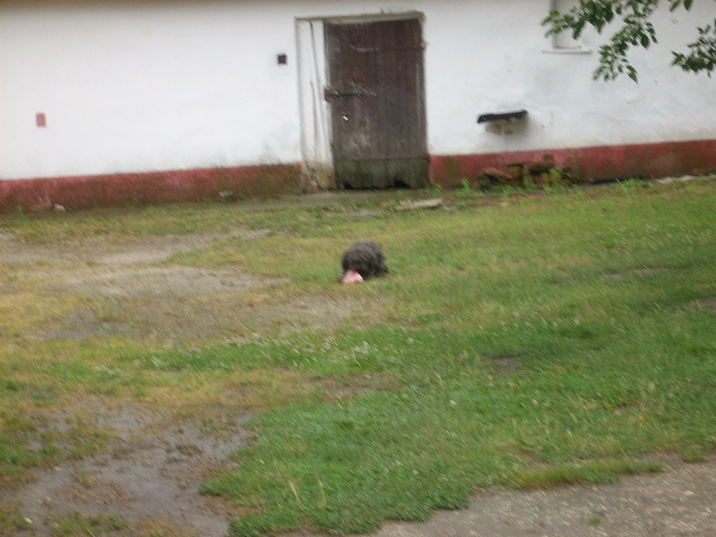 23-20140701torekves4_0