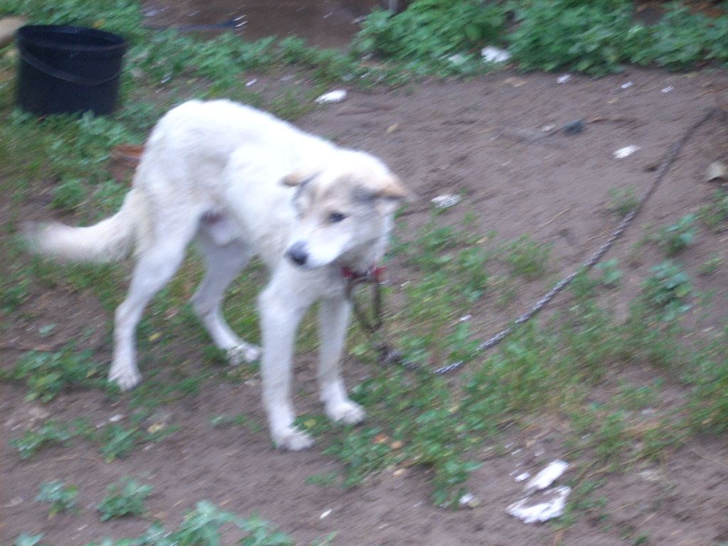 23-20140701urihegy30_0