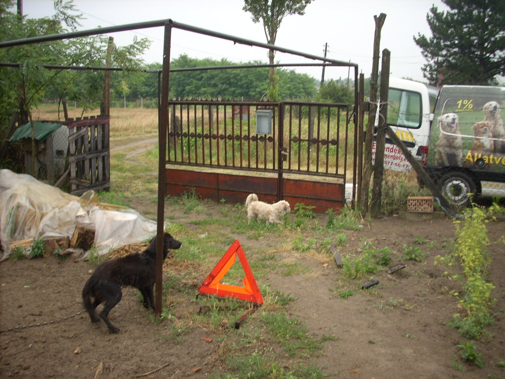 23-20140701urihegy6_0