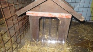 dsc07741-small
