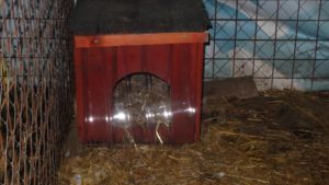 dsc07746-small